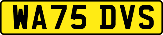 WA75DVS