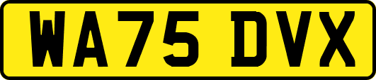 WA75DVX