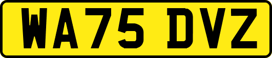WA75DVZ