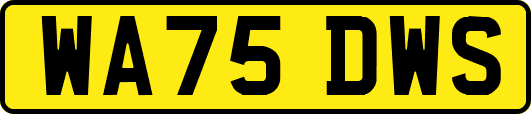 WA75DWS