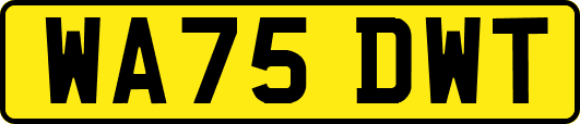 WA75DWT