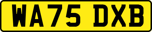 WA75DXB