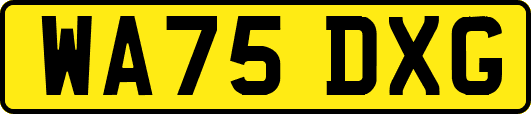 WA75DXG
