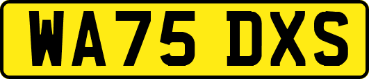 WA75DXS
