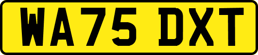 WA75DXT