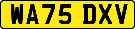 WA75DXV