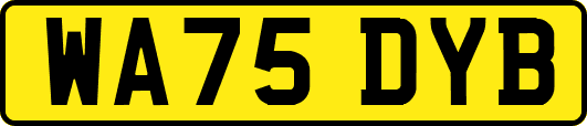 WA75DYB