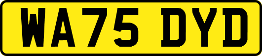 WA75DYD