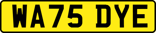 WA75DYE