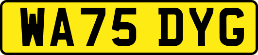 WA75DYG