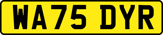 WA75DYR