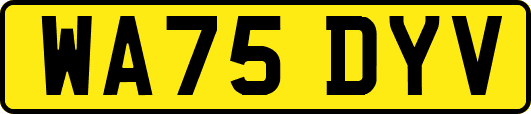 WA75DYV