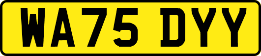 WA75DYY