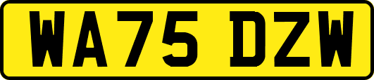 WA75DZW