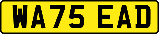 WA75EAD