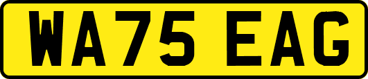 WA75EAG