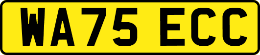WA75ECC