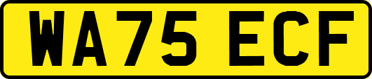 WA75ECF