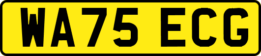 WA75ECG
