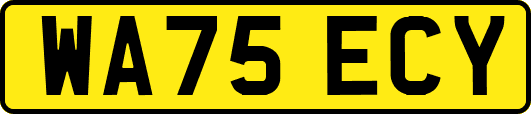 WA75ECY