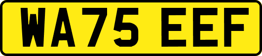 WA75EEF