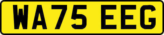 WA75EEG
