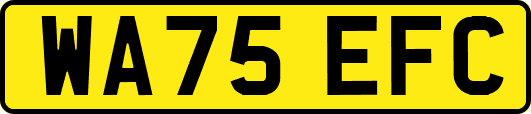 WA75EFC