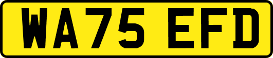 WA75EFD