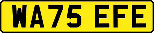 WA75EFE