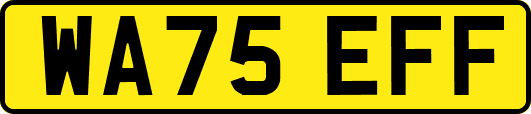 WA75EFF