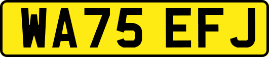 WA75EFJ
