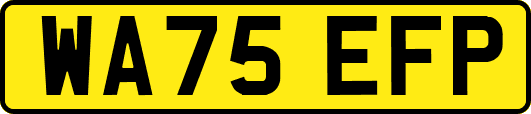 WA75EFP