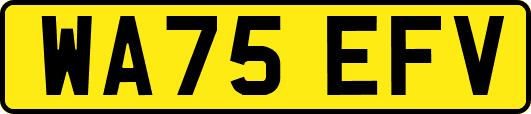 WA75EFV