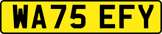 WA75EFY