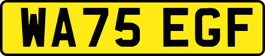 WA75EGF