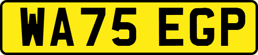 WA75EGP