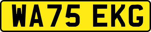WA75EKG