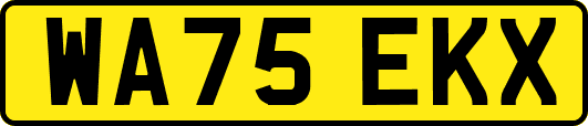 WA75EKX