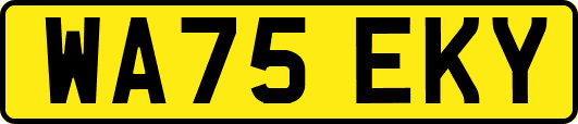 WA75EKY