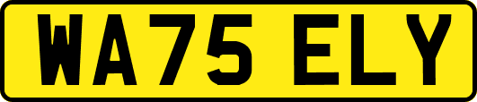 WA75ELY
