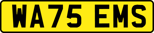 WA75EMS