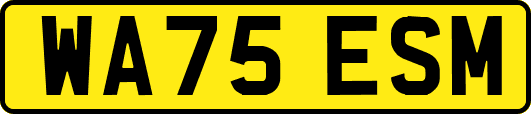 WA75ESM