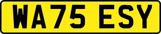 WA75ESY