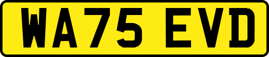 WA75EVD