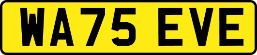 WA75EVE