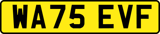 WA75EVF