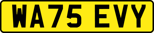 WA75EVY