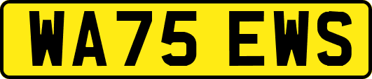 WA75EWS