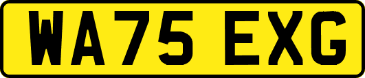 WA75EXG