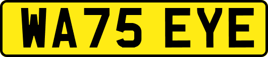 WA75EYE
